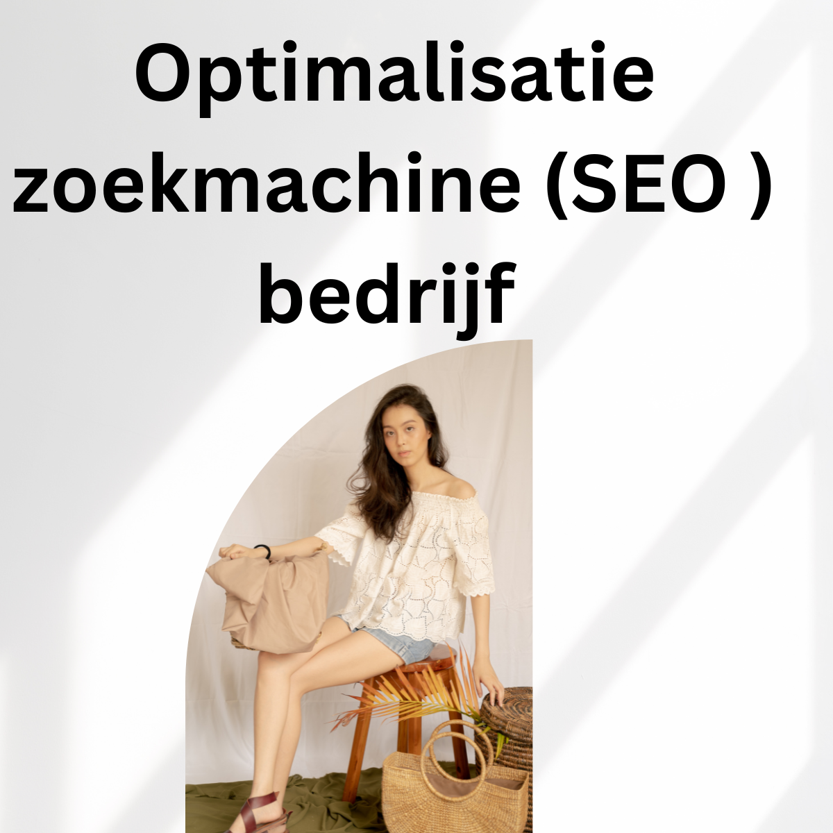 Optimalisatie zoekmachine (SEO ) bedrijf 