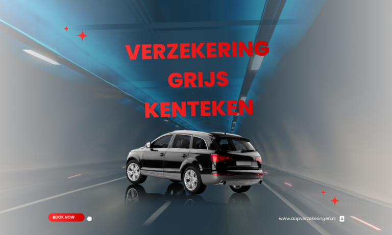 Verzekering grijs kenteken
